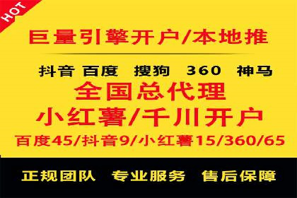 行业专家解析SEM代运营成功案例